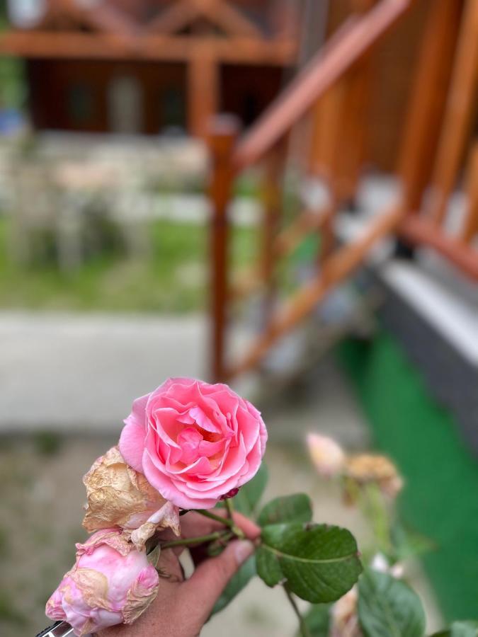 Ay Home Apart&Bungalov Uzungöl Dış mekan fotoğraf